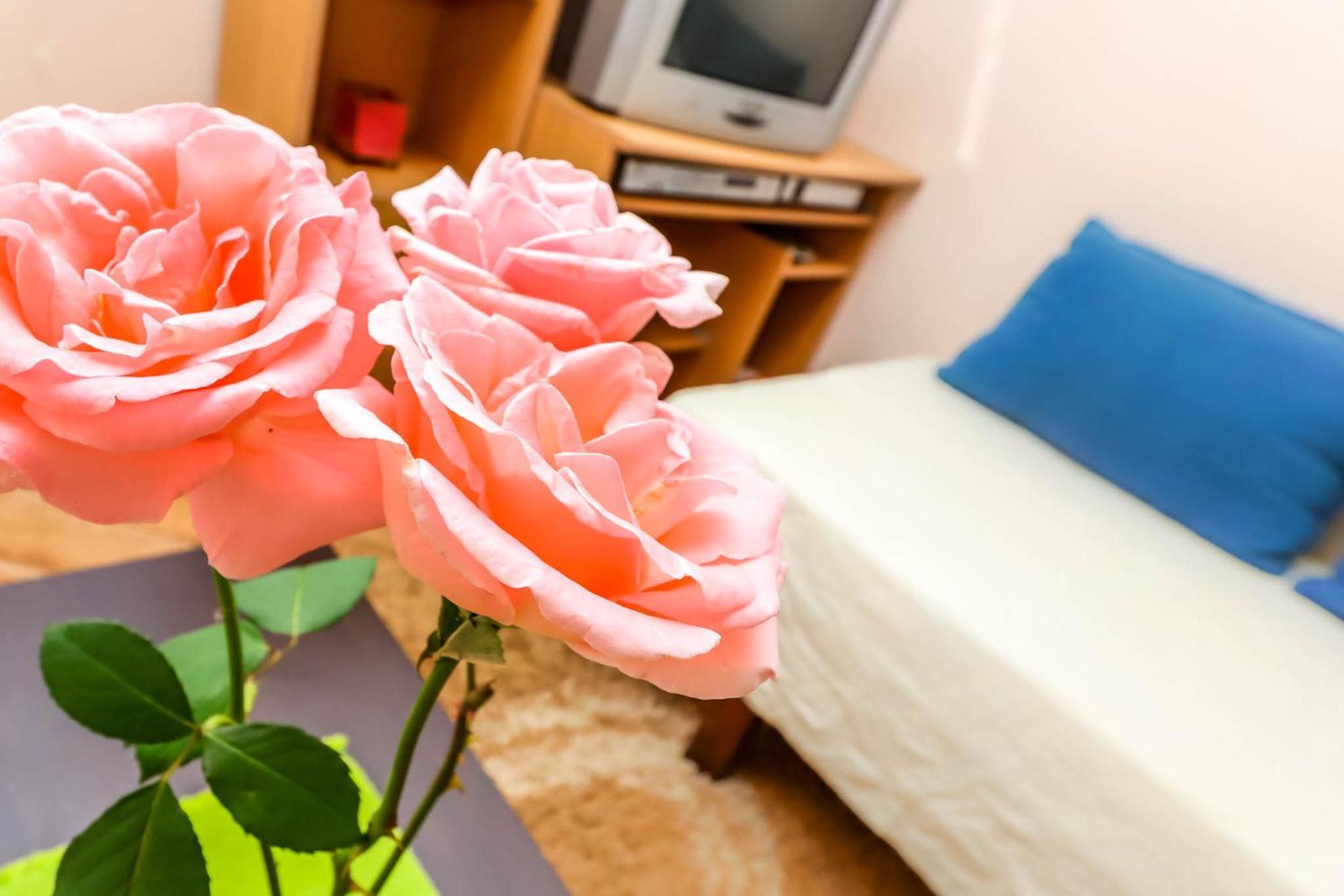 Apartments Zeko Donji Morinj Dış mekan fotoğraf