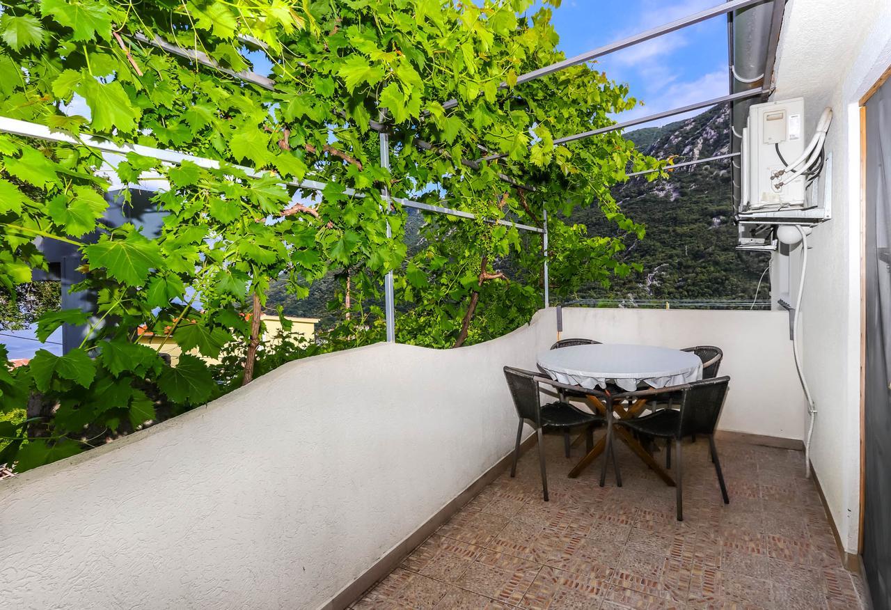 Apartments Zeko Donji Morinj Dış mekan fotoğraf